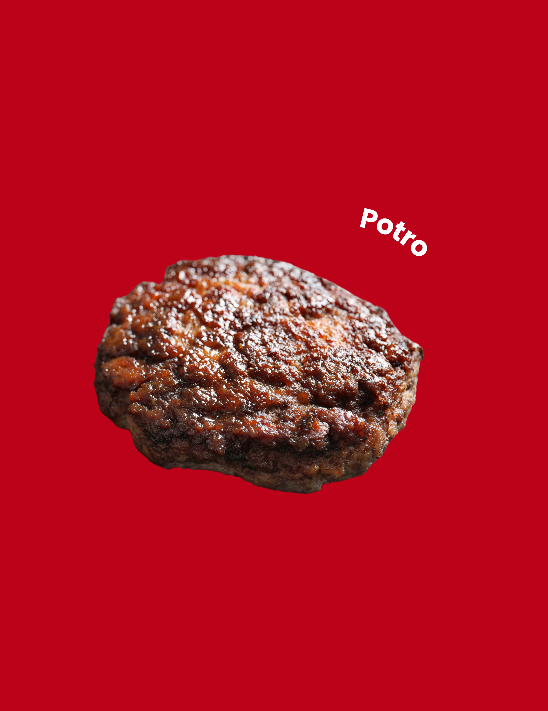 FITNESS BURGER POTRO